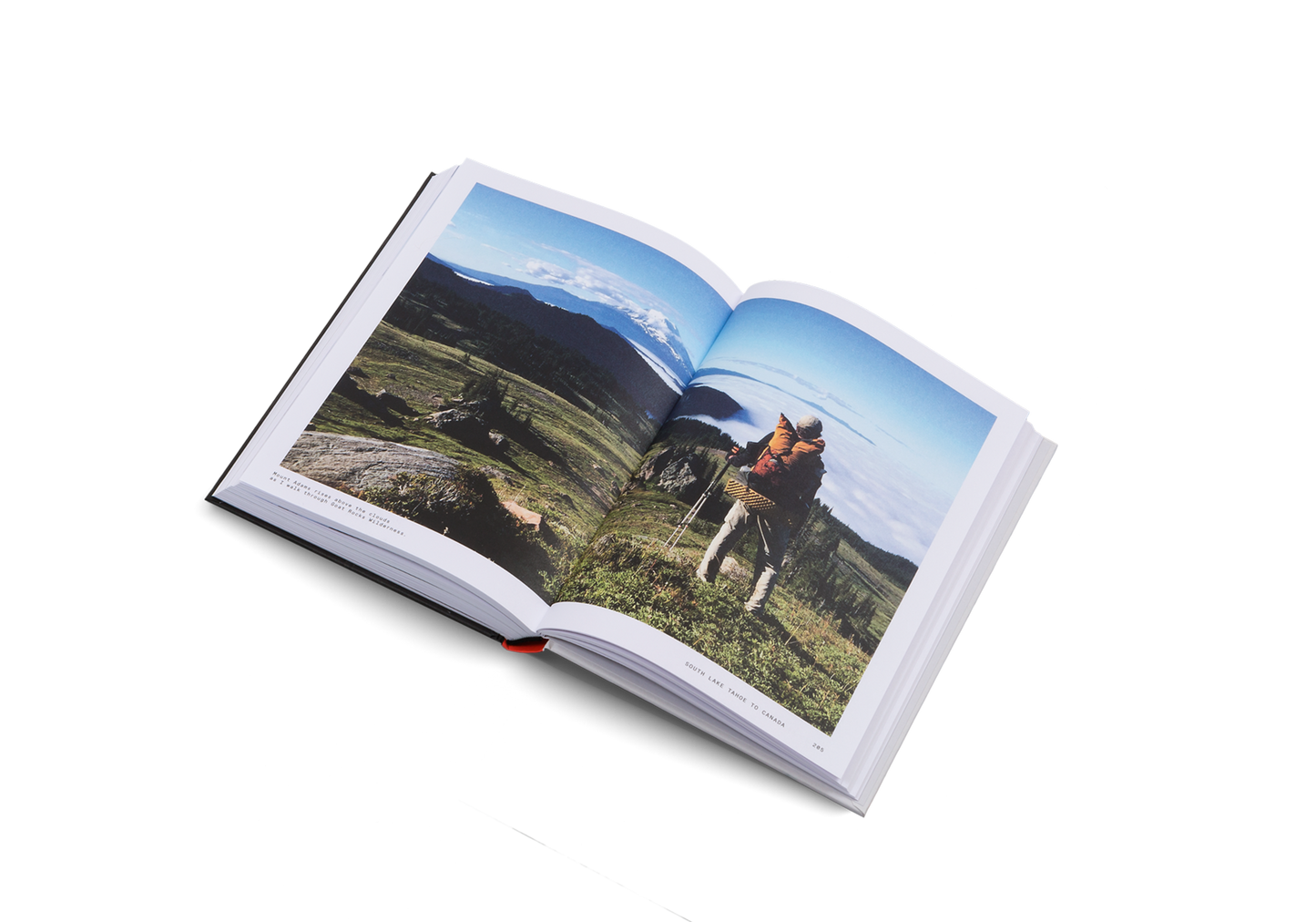 The Great Alone Book