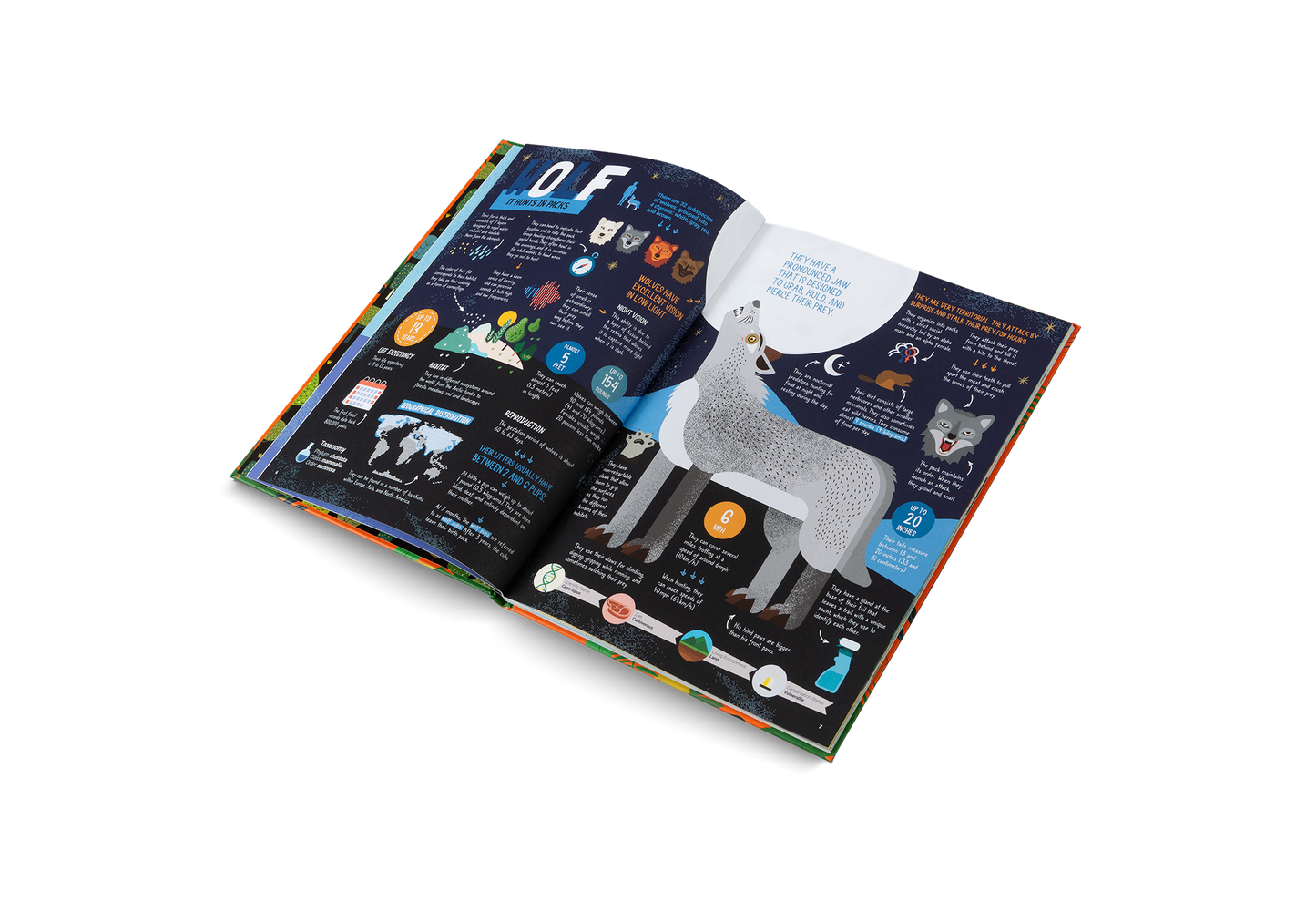 The Hunters Book
