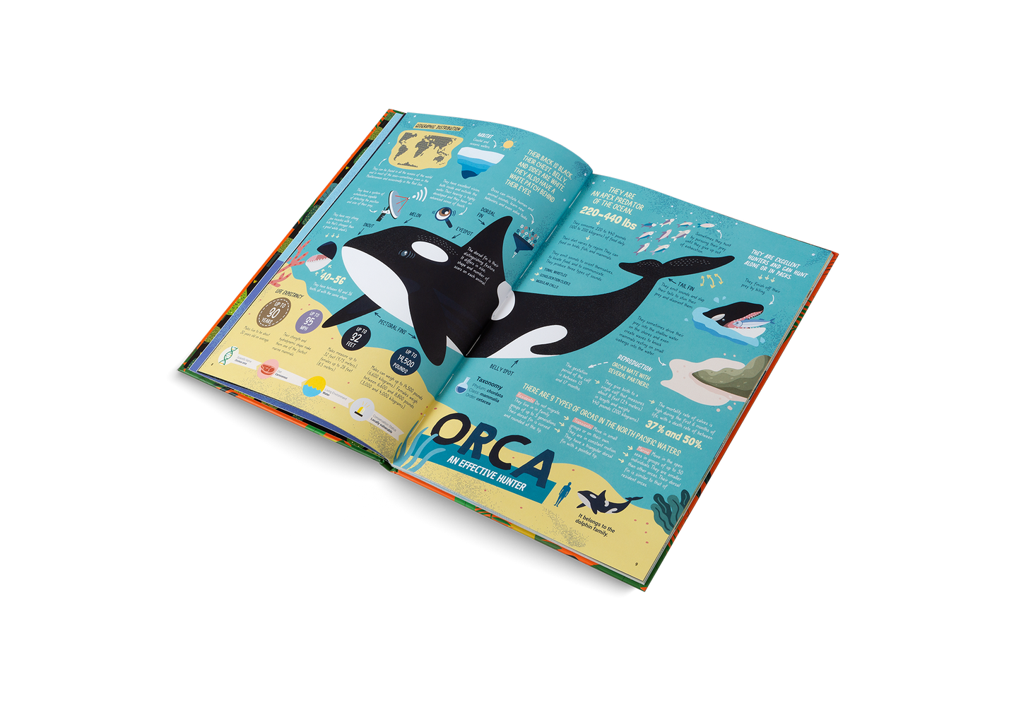 The Hunters Book