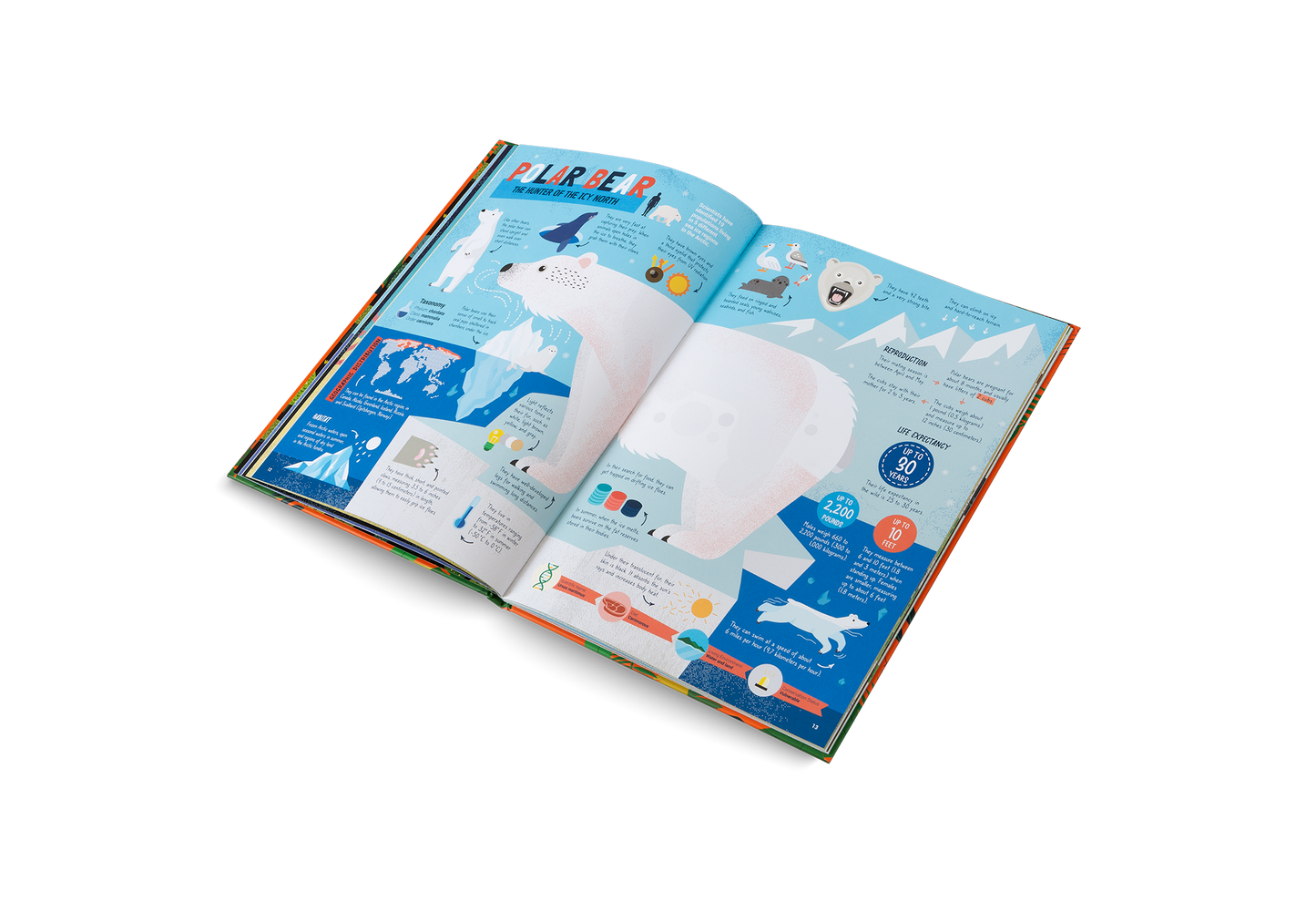 The Hunters Book