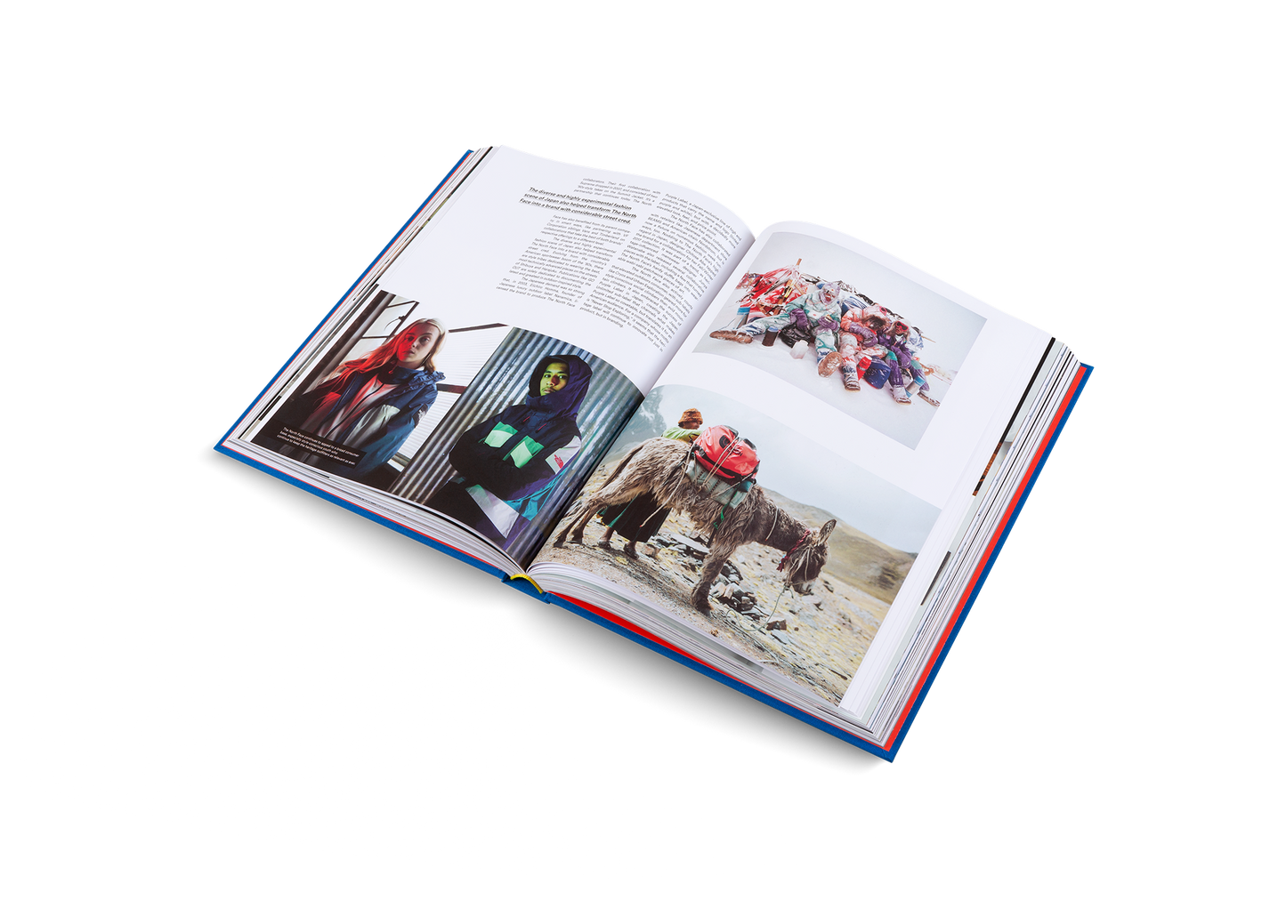 The Incomplete (Updated Edition) Book