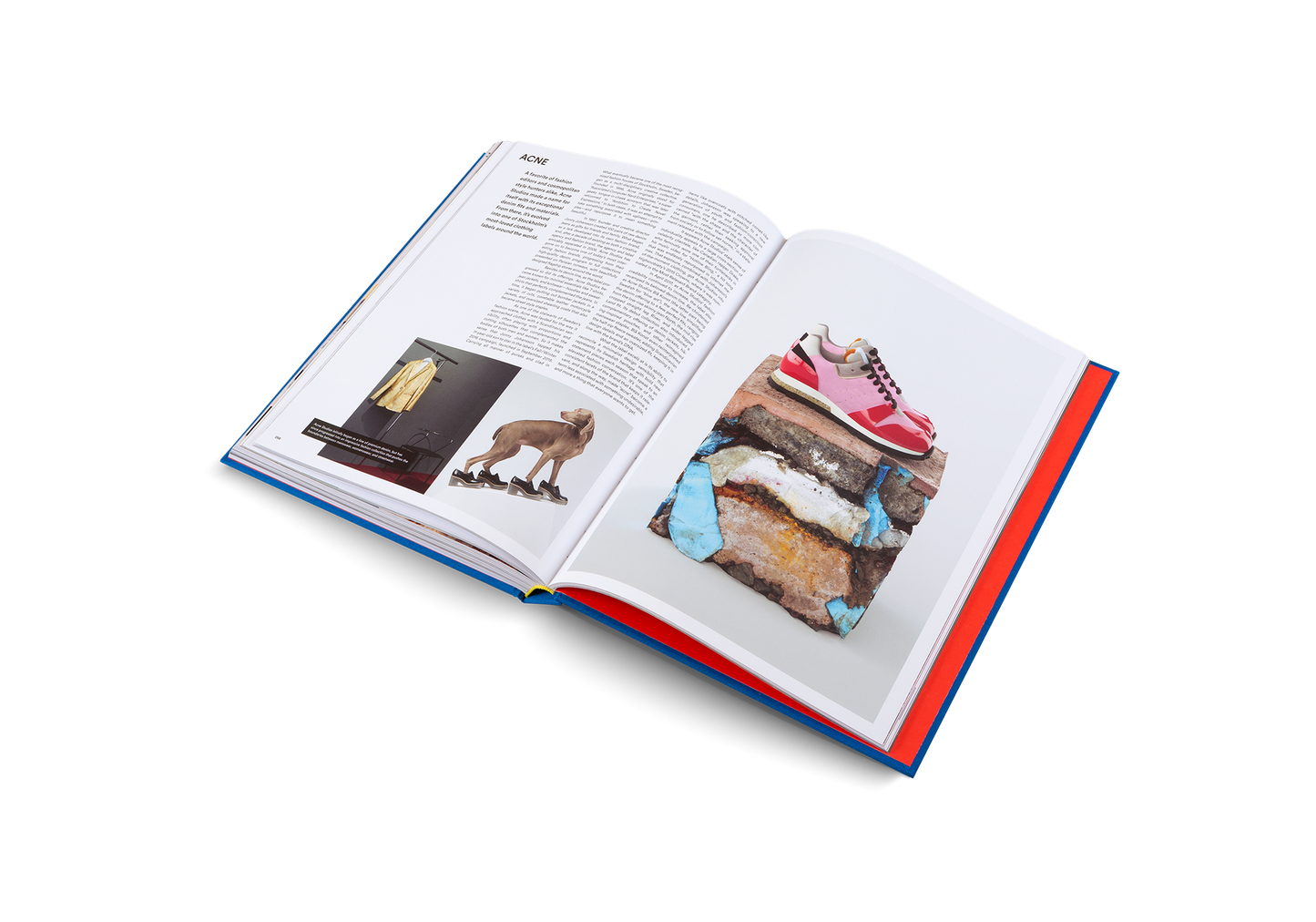The Incomplete (Updated Edition) Book