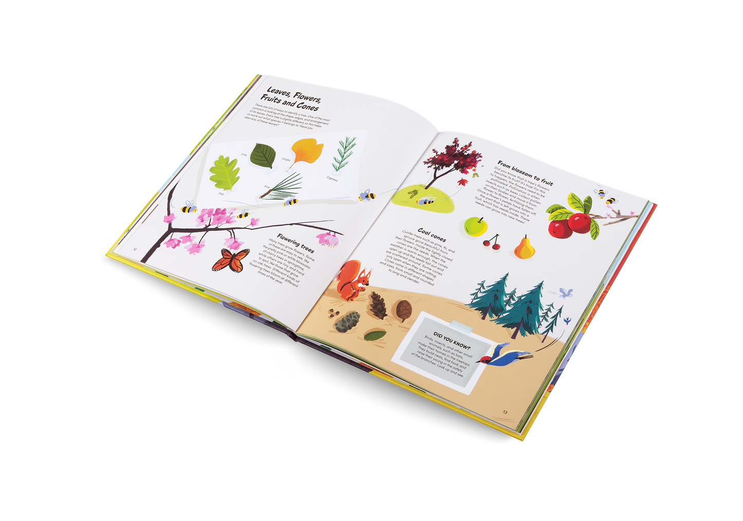 The Little Book of Trees Book