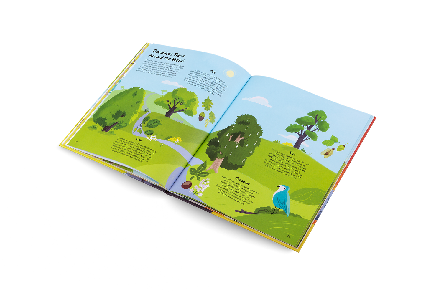 The Little Book of Trees Book
