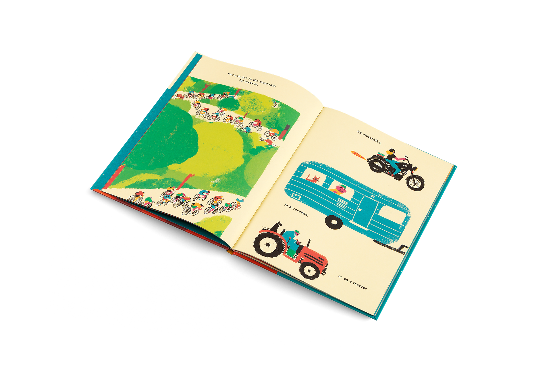 The Mountain Book