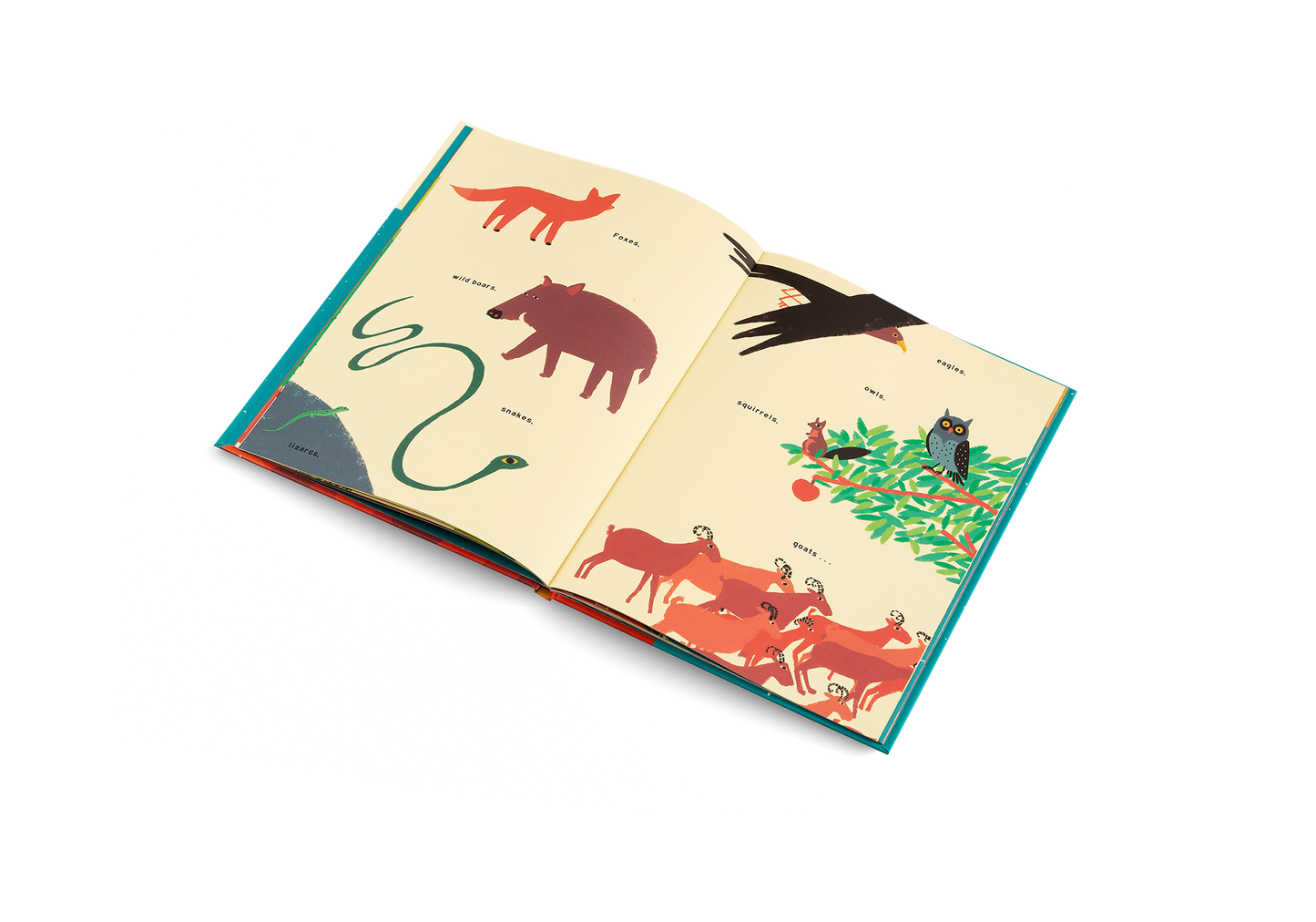 The Mountain Book