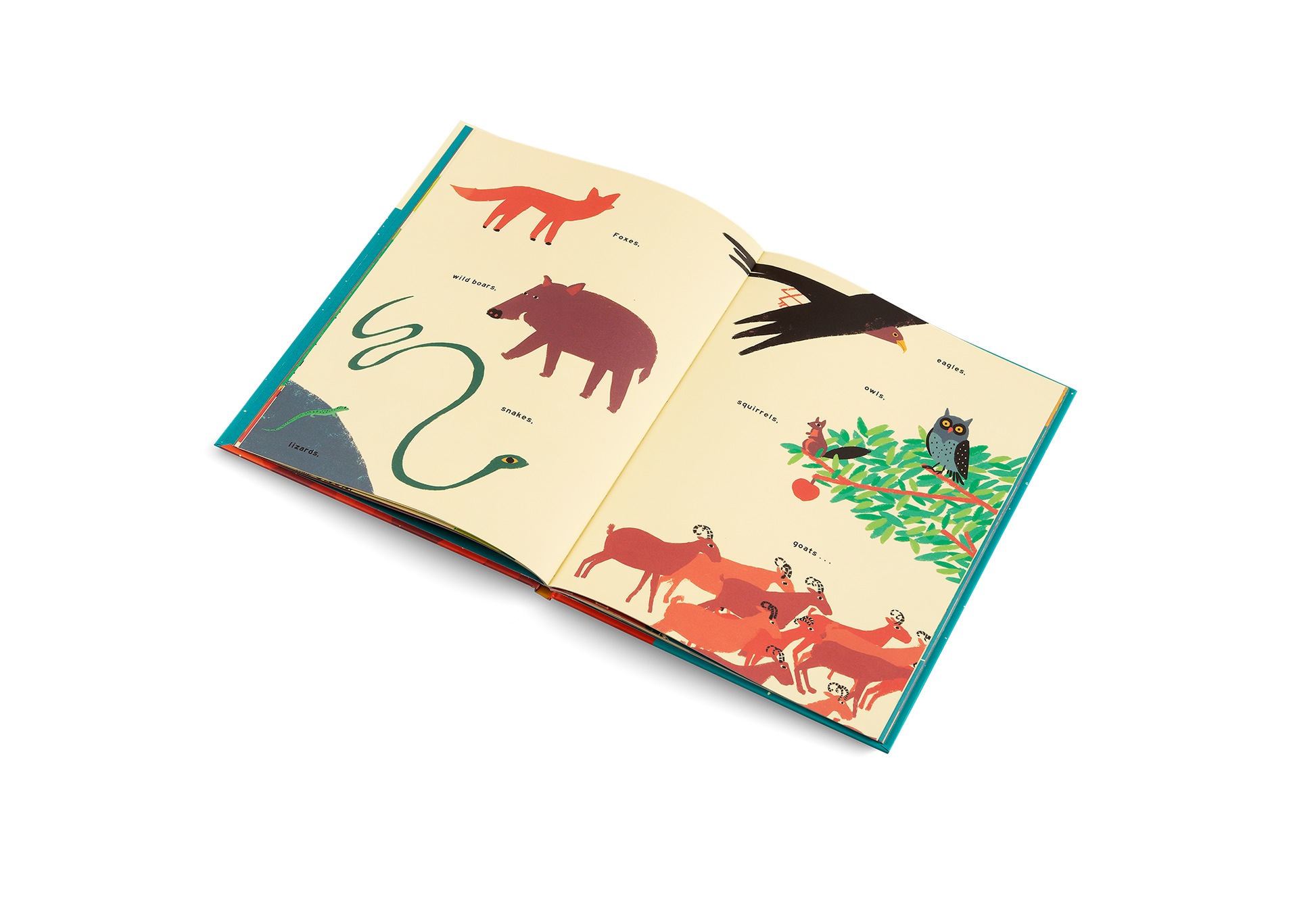 The Mountain Book
