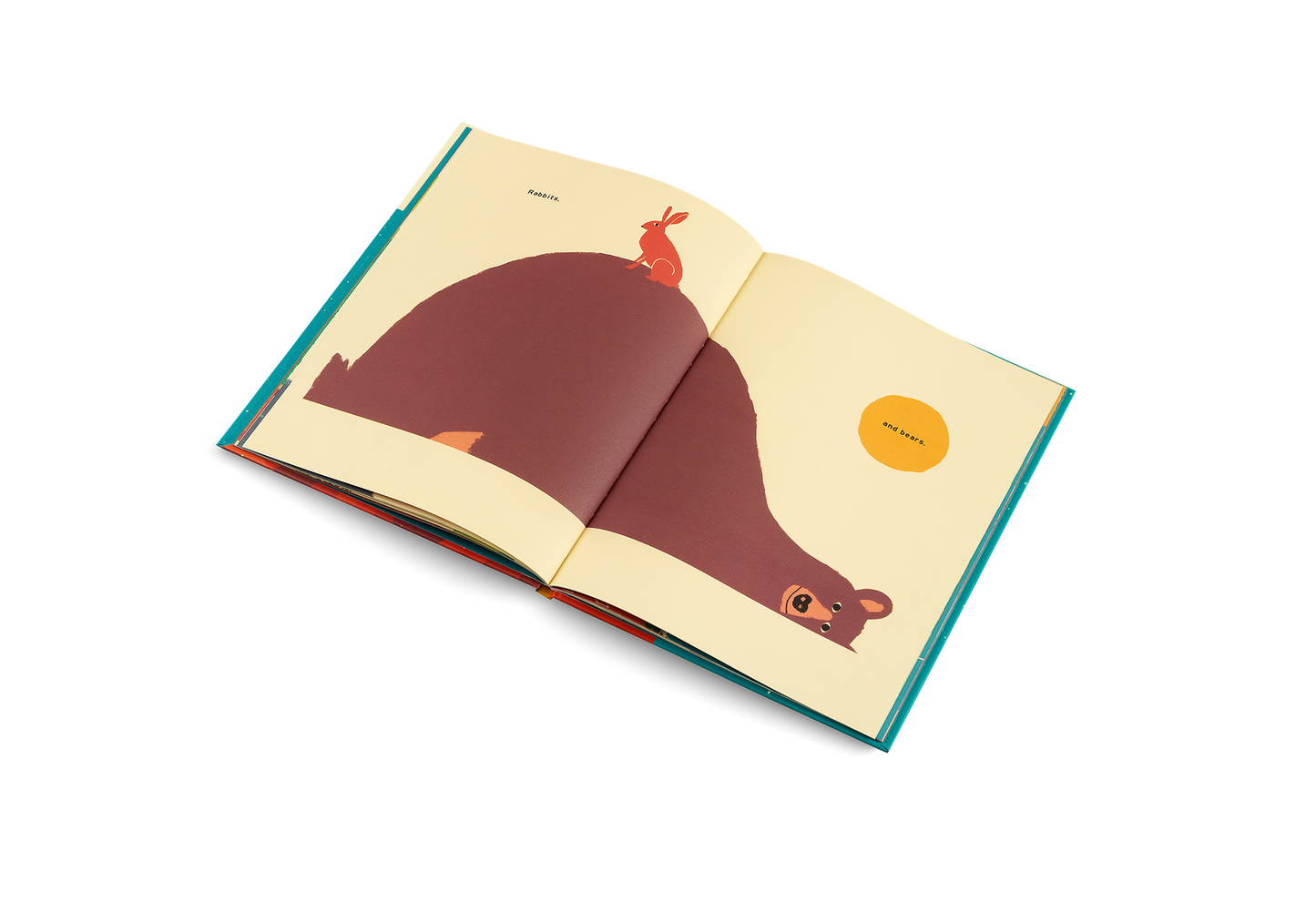 The Mountain Book