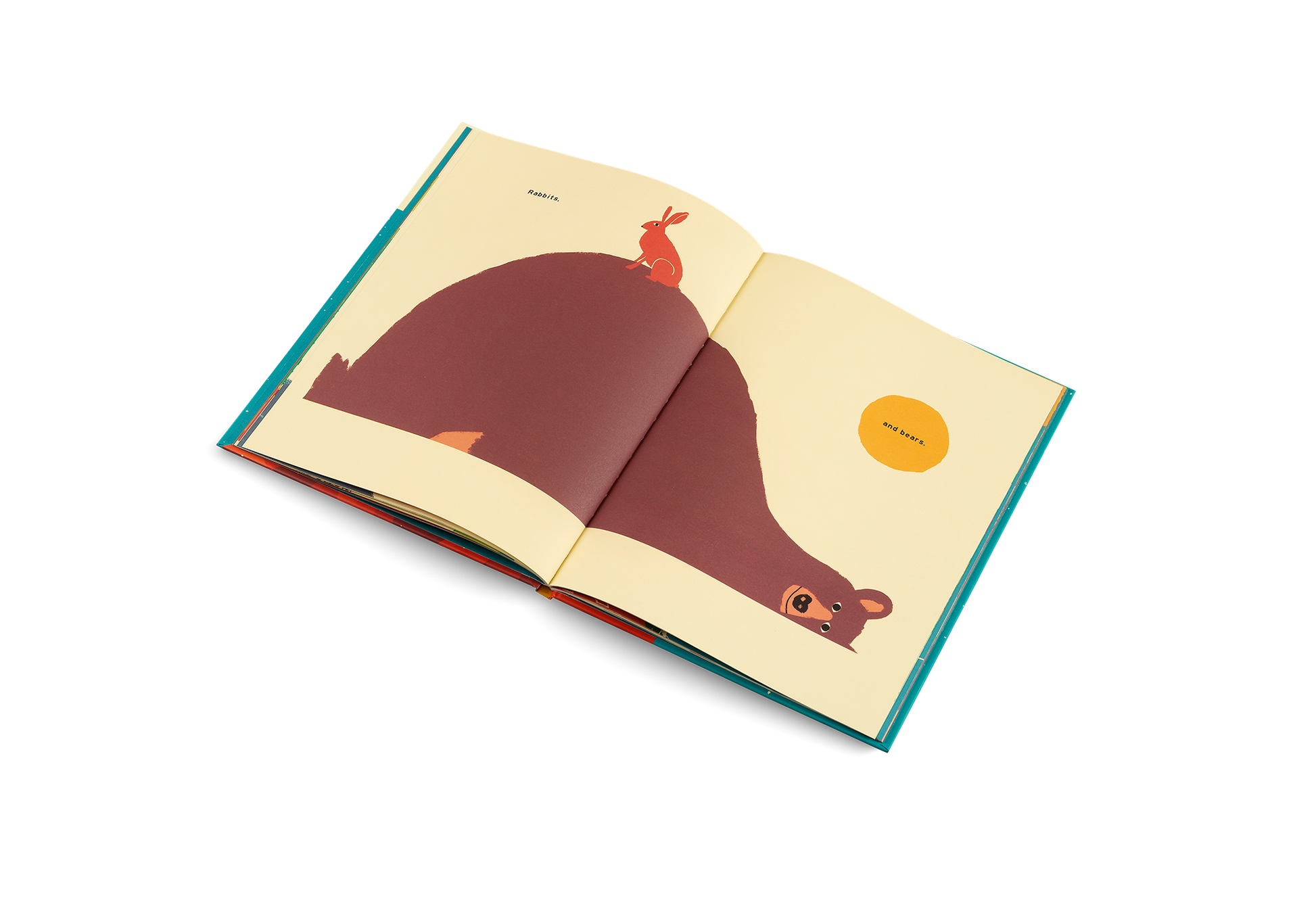 The Mountain Book