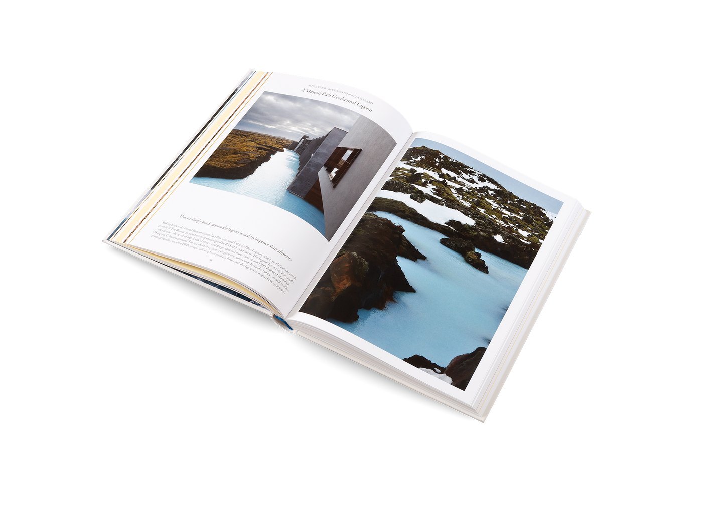 The Nature of Swimming Book