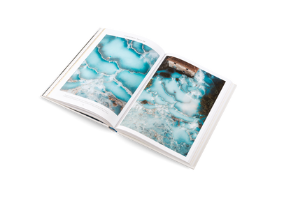 The Nature of Swimming Book