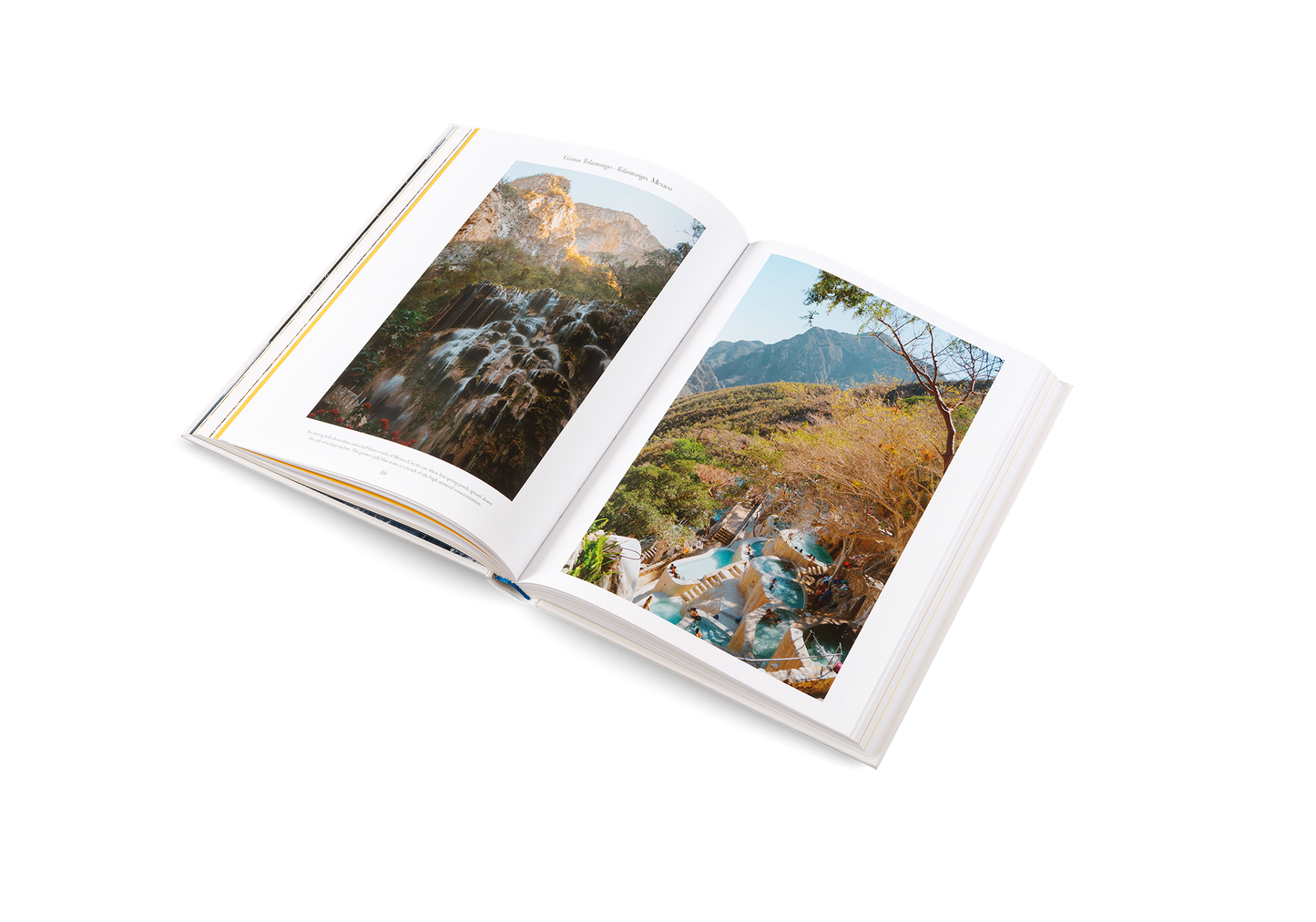 The Nature of Swimming Book