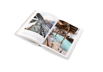 The Nature of Swimming Book