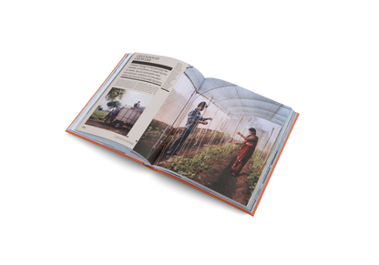 The New Traditional Book