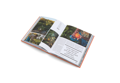 The New Traditional Book