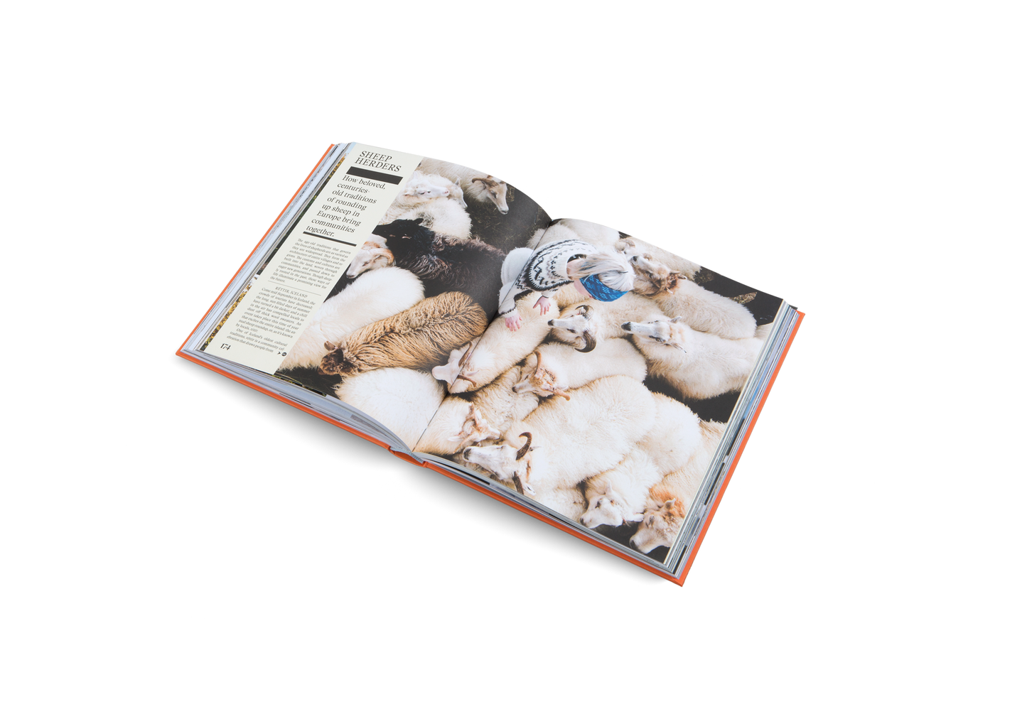 The New Traditional Book