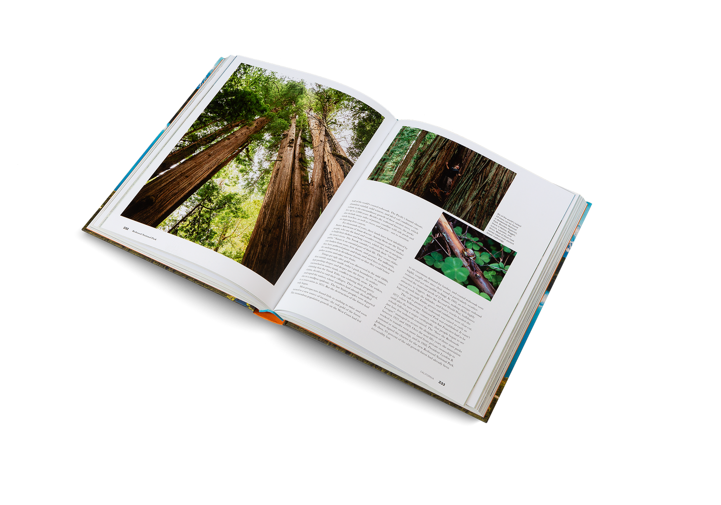 The Parklands Book