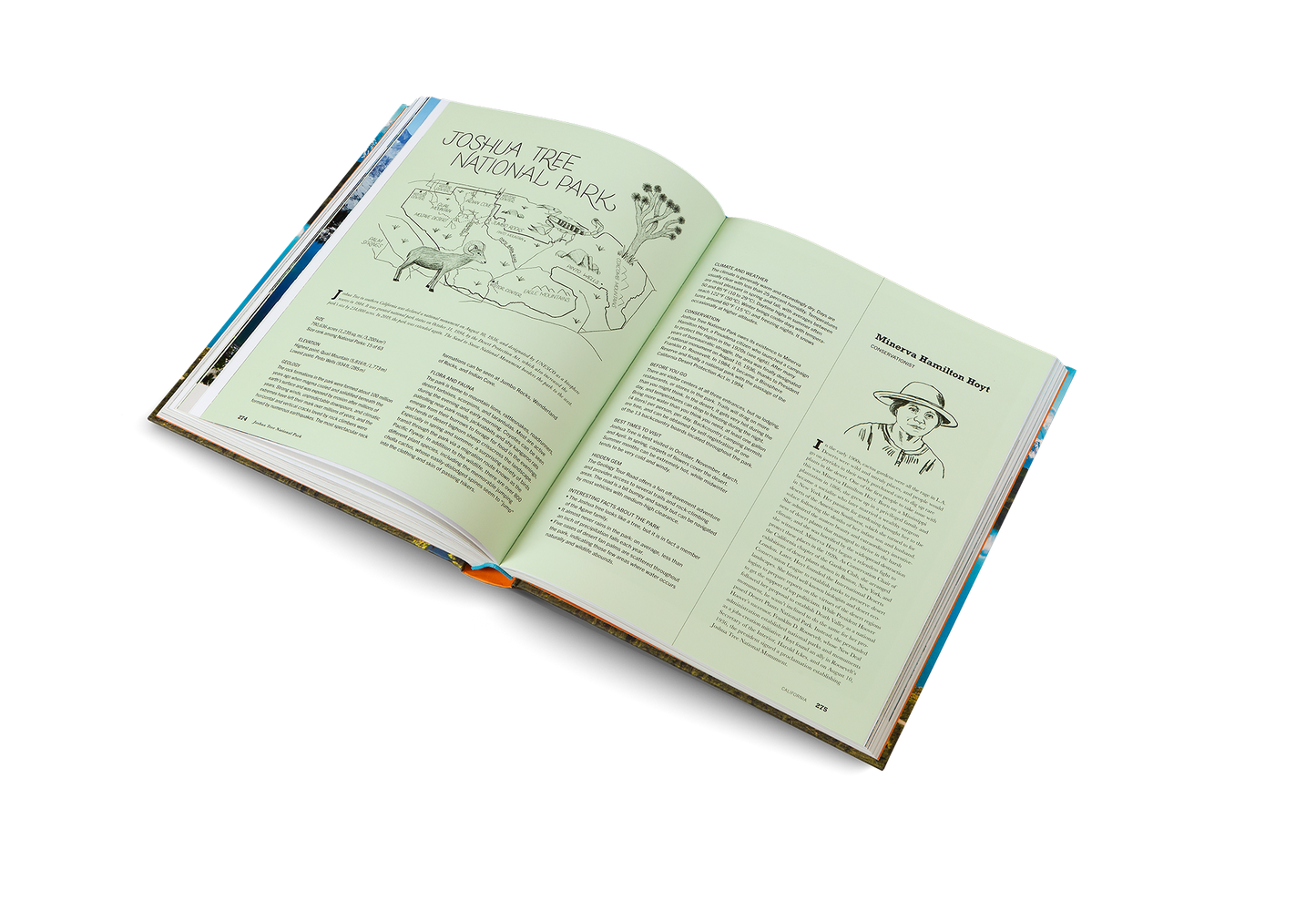The Parklands Book
