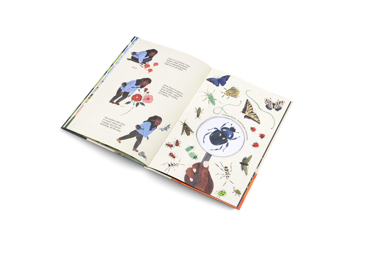 The Path Book