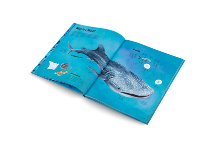The World of Sharks Book