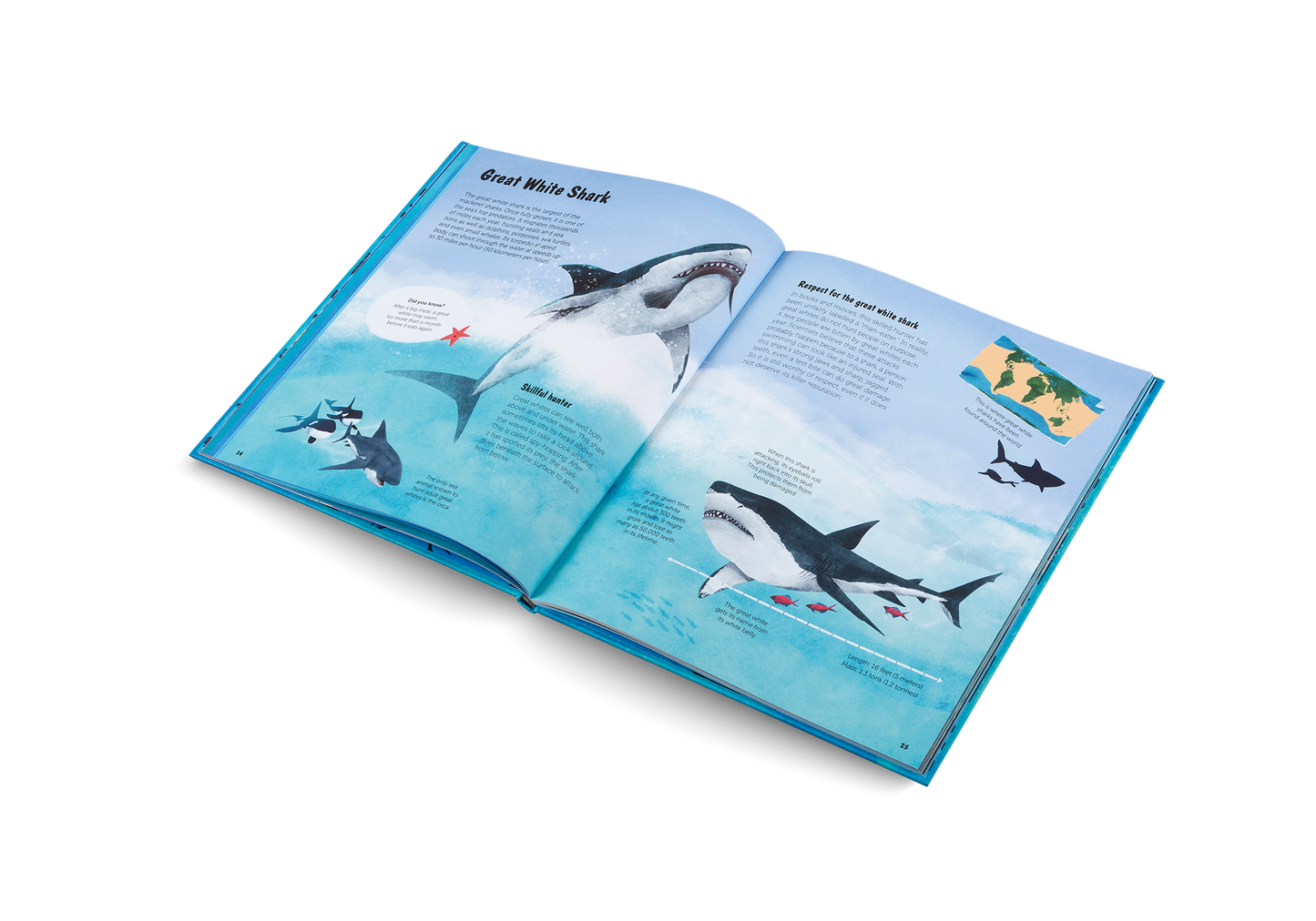 The World of Sharks Book