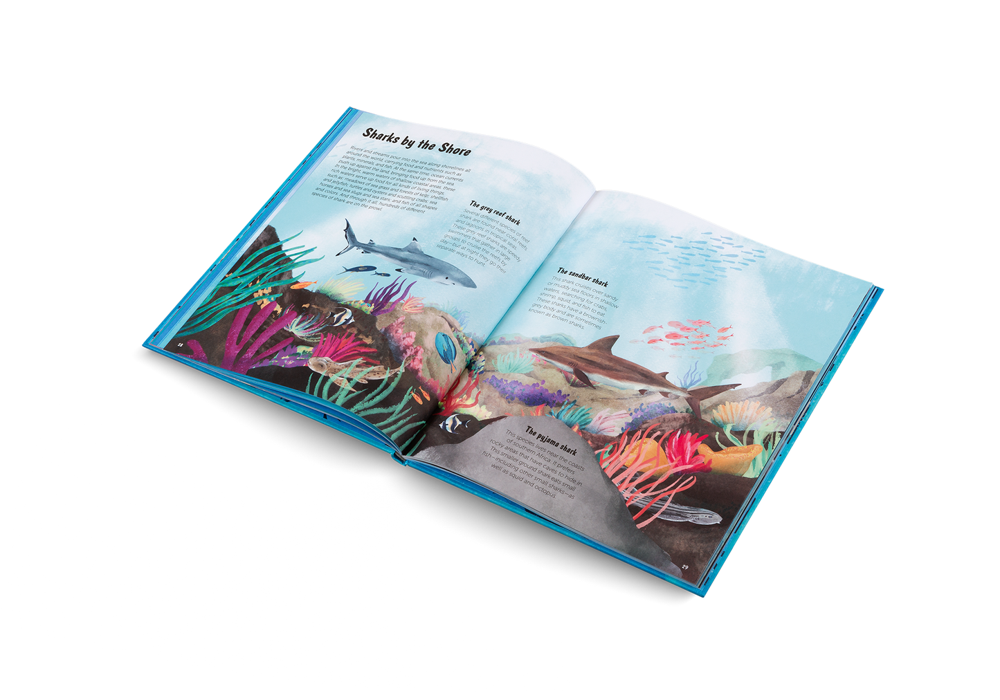 The World of Sharks Book