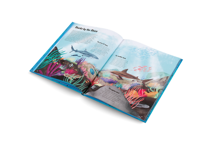 The World of Sharks Book