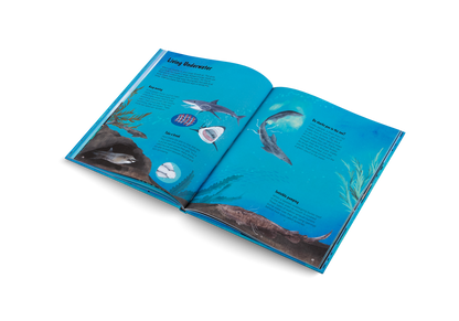 The World of Sharks Book