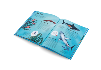 The World of Sharks Book