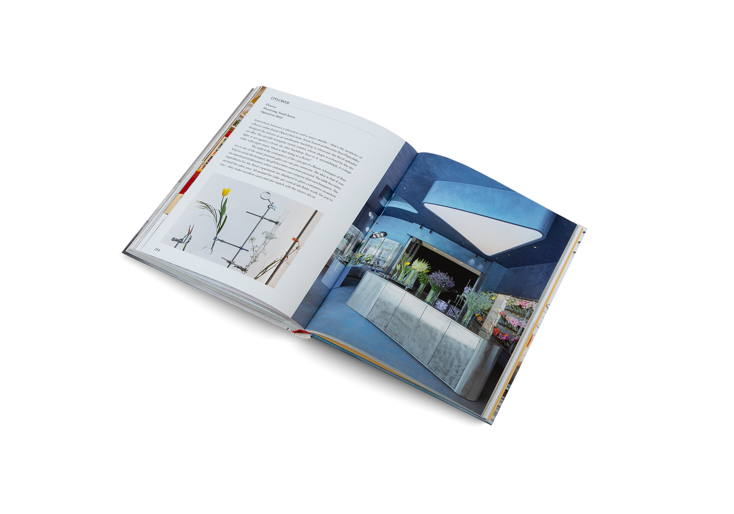 Think Bigƒ??Shop Small Book