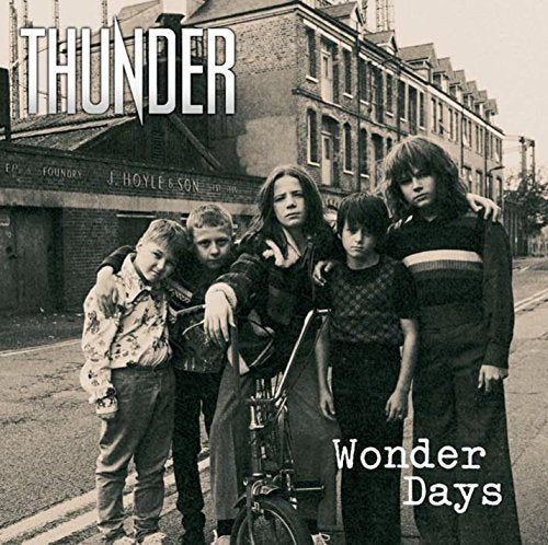 Wonder Days Vinyl Record