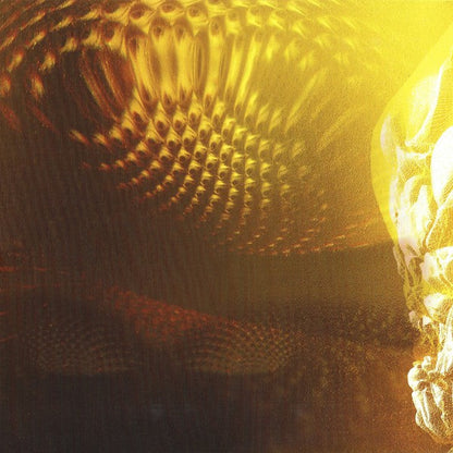 Tool – Fear Inoculum (3-LP Vinyl) Vinyl Record