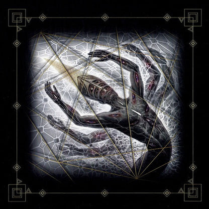 Tool – Fear Inoculum (3-LP Vinyl) Vinyl Record
