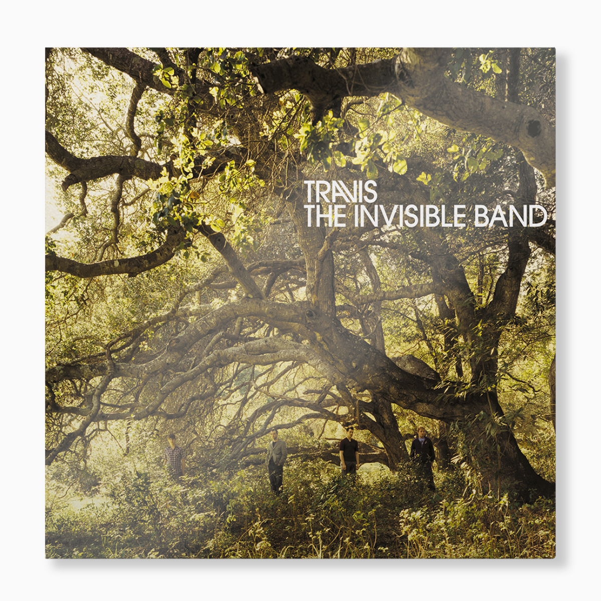 The Invisible Band: 20th Anniversary Edition (2-CD) Music CD