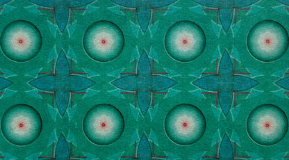 Trey Anastasio – Paper Wheels (Limited Edition 2-LP Vinyl Box Set) Vinyl Record