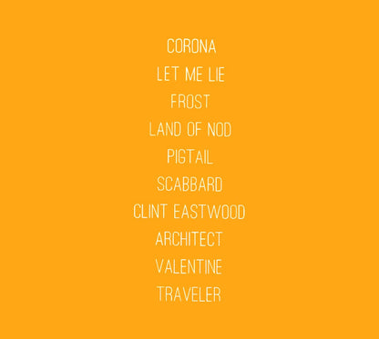 Trey Anastasio – Traveler Music CD
