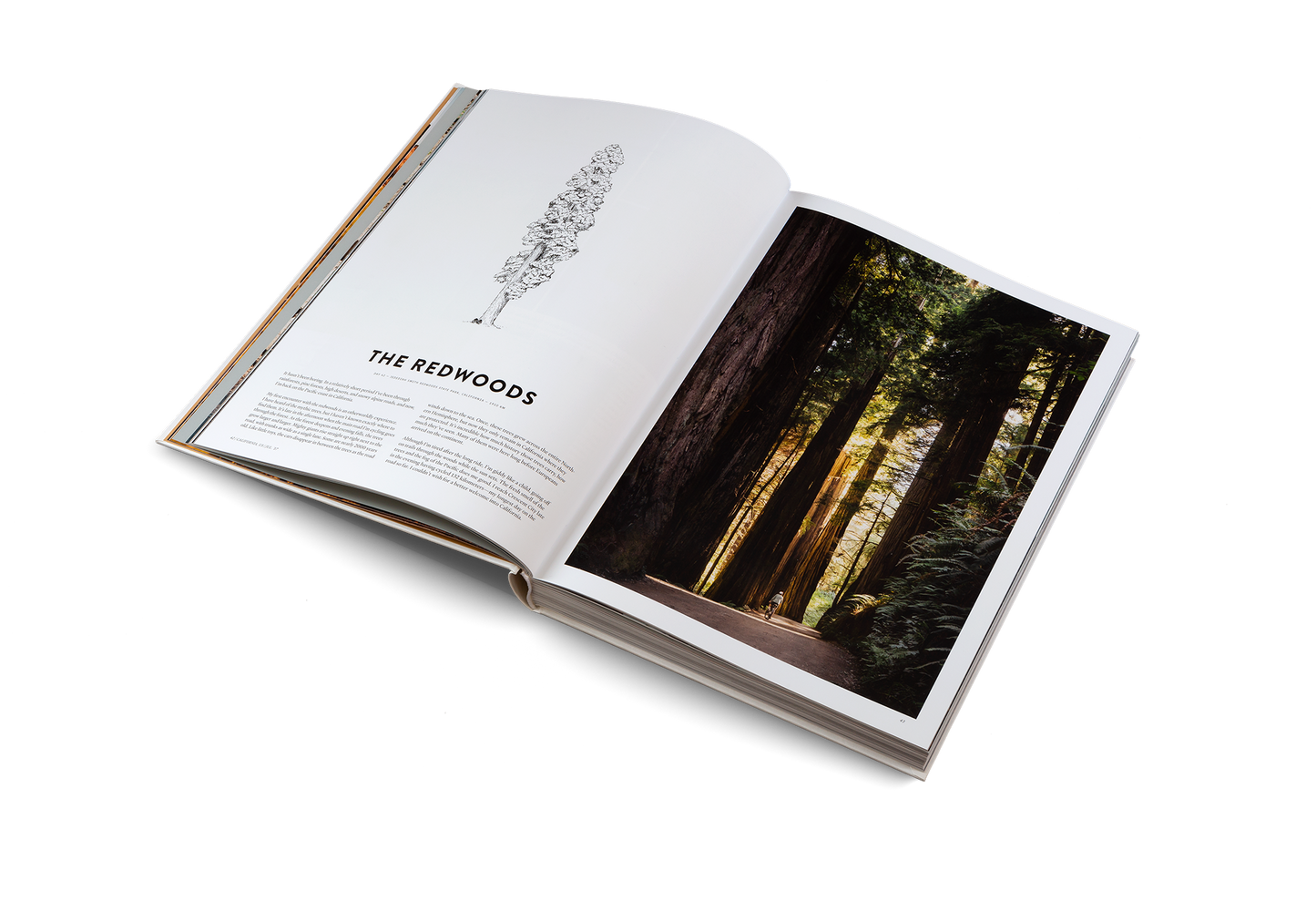 Two Years on a Bike Book