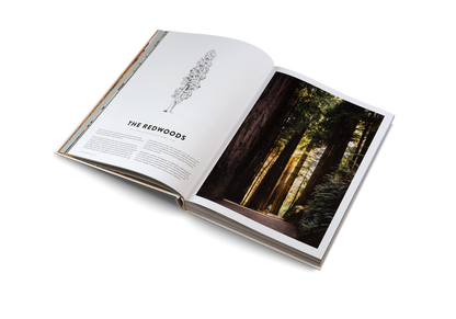 Two Years on a Bike Book