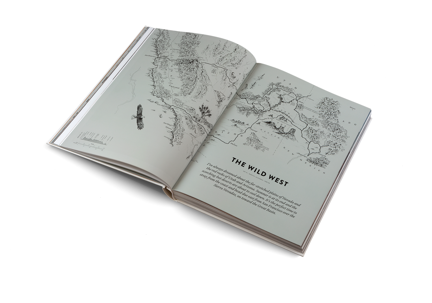 Two Years on a Bike Book