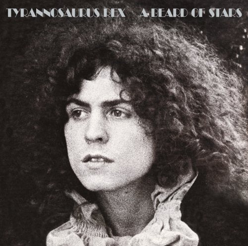 A Beard Of Stars [Vinyl] Vinyl Record