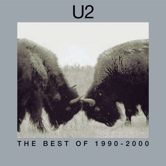 U2 - The Best Of 1990-2000 [2 LP] Vinyl Record