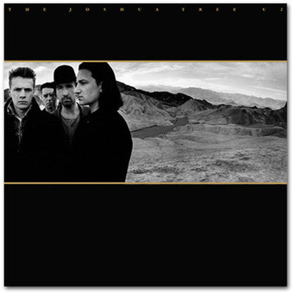 U2 – The Joshua Tree (2-LP Vinyl) Vinyl Record
