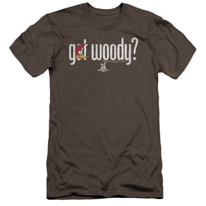 Woody Woodpecker Got Woody Premium Bella Canvas Slim Fit Mens T Shirt Charcoal