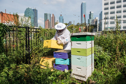 Urban Farmers Book