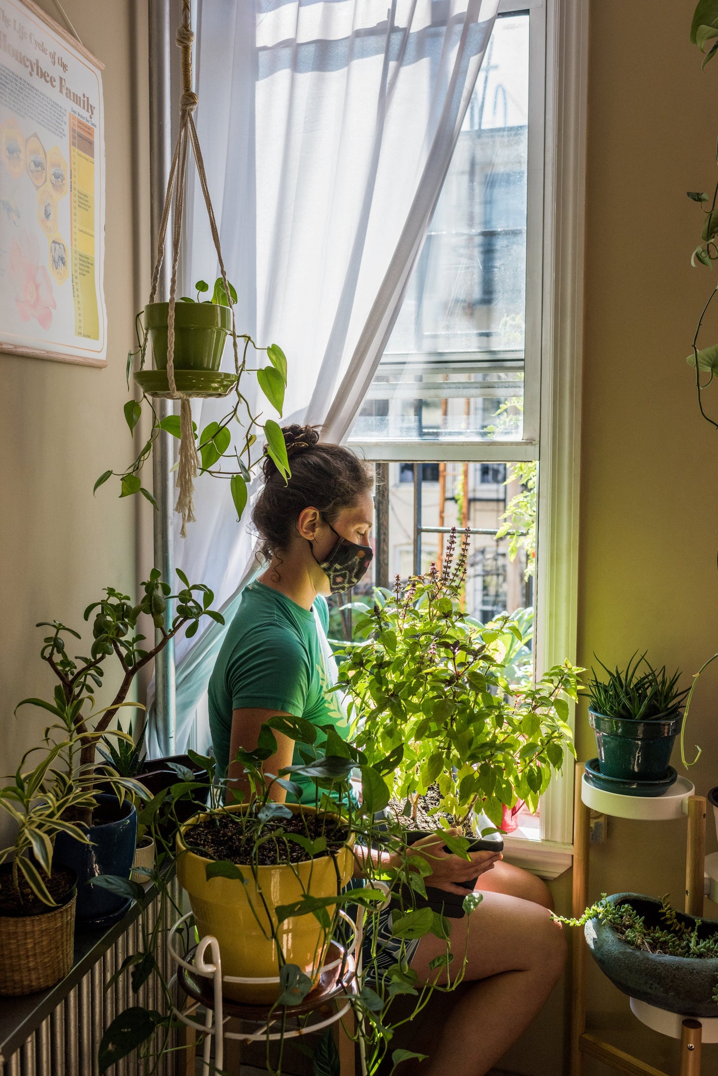 Urban Farmers Book