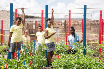 Urban Farmers Book