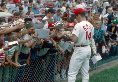 Pete Rose: A Tribute to a Baseball Legend Book