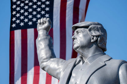 Donald Trump: The Road to a Historic Second Term Book