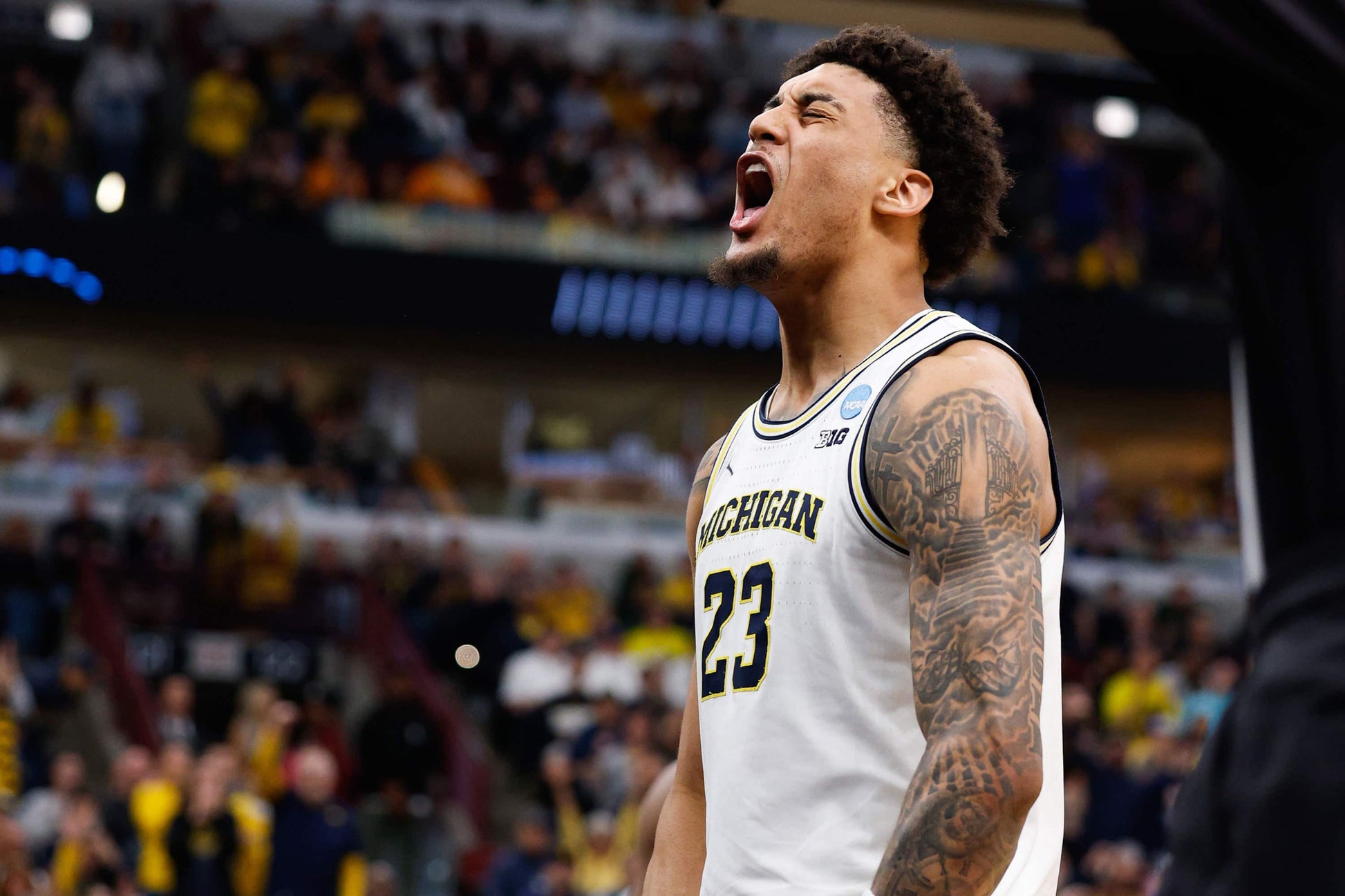 MAIZE THE ROOF: How the Michigan Wolverines Dominated College Basketball Book