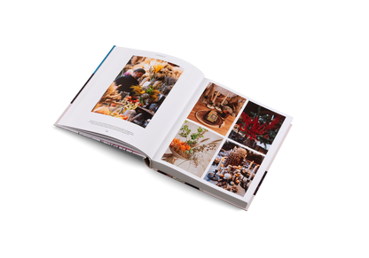 Ukraine Rising Book